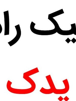 لنت ترمز چرخ عقب رانا MTS کره ای